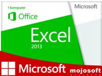 Microsoft Excel 2013 - do użytku domowego