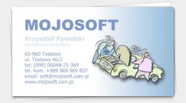 sample business cards taxi