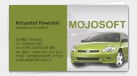 business cards taxi driver