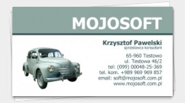 example business cards automotive