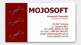 example business cards Computer Consultant